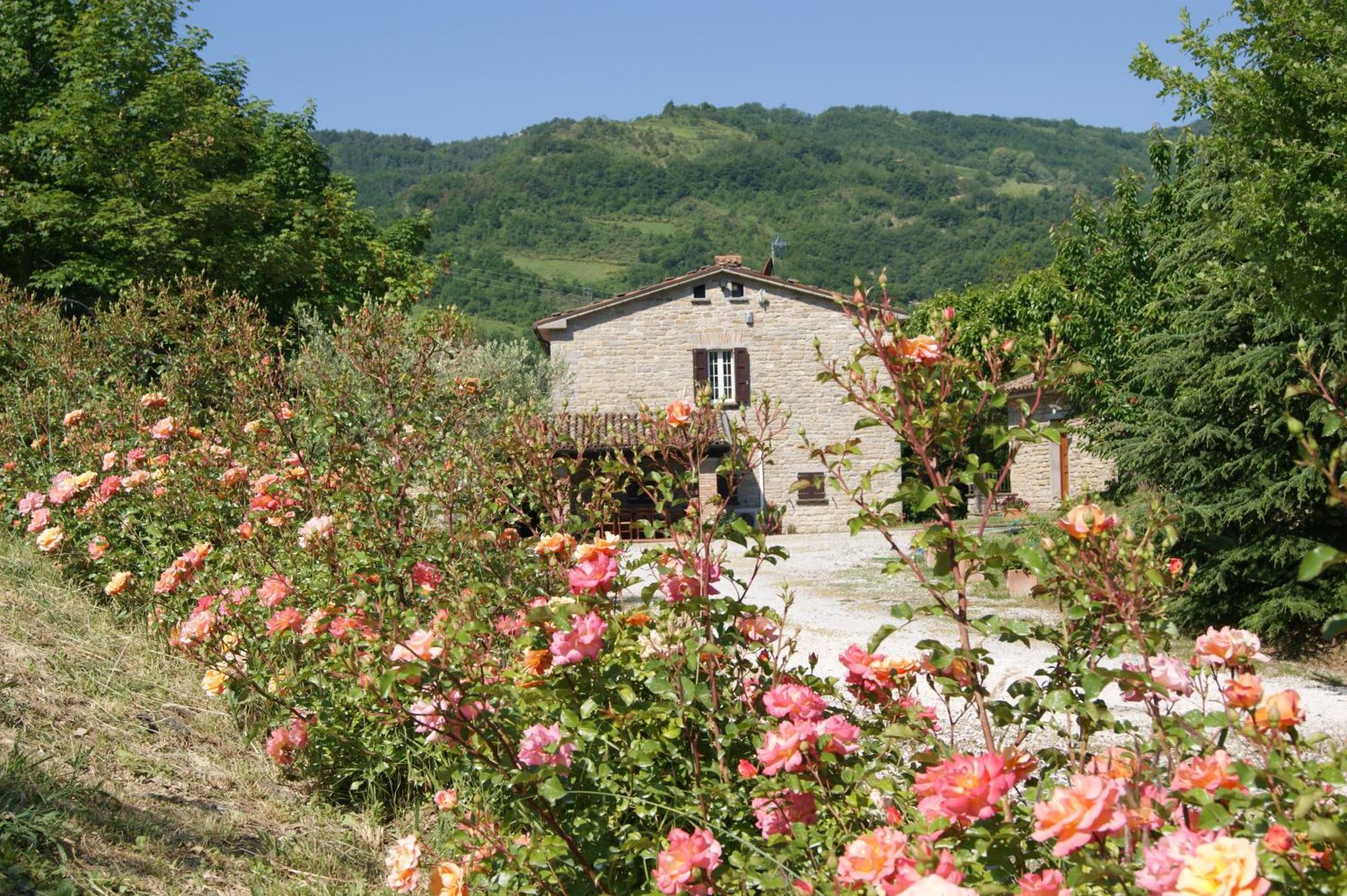 Agriturismo Corte Dei Mori Brisighella Bagian luar foto