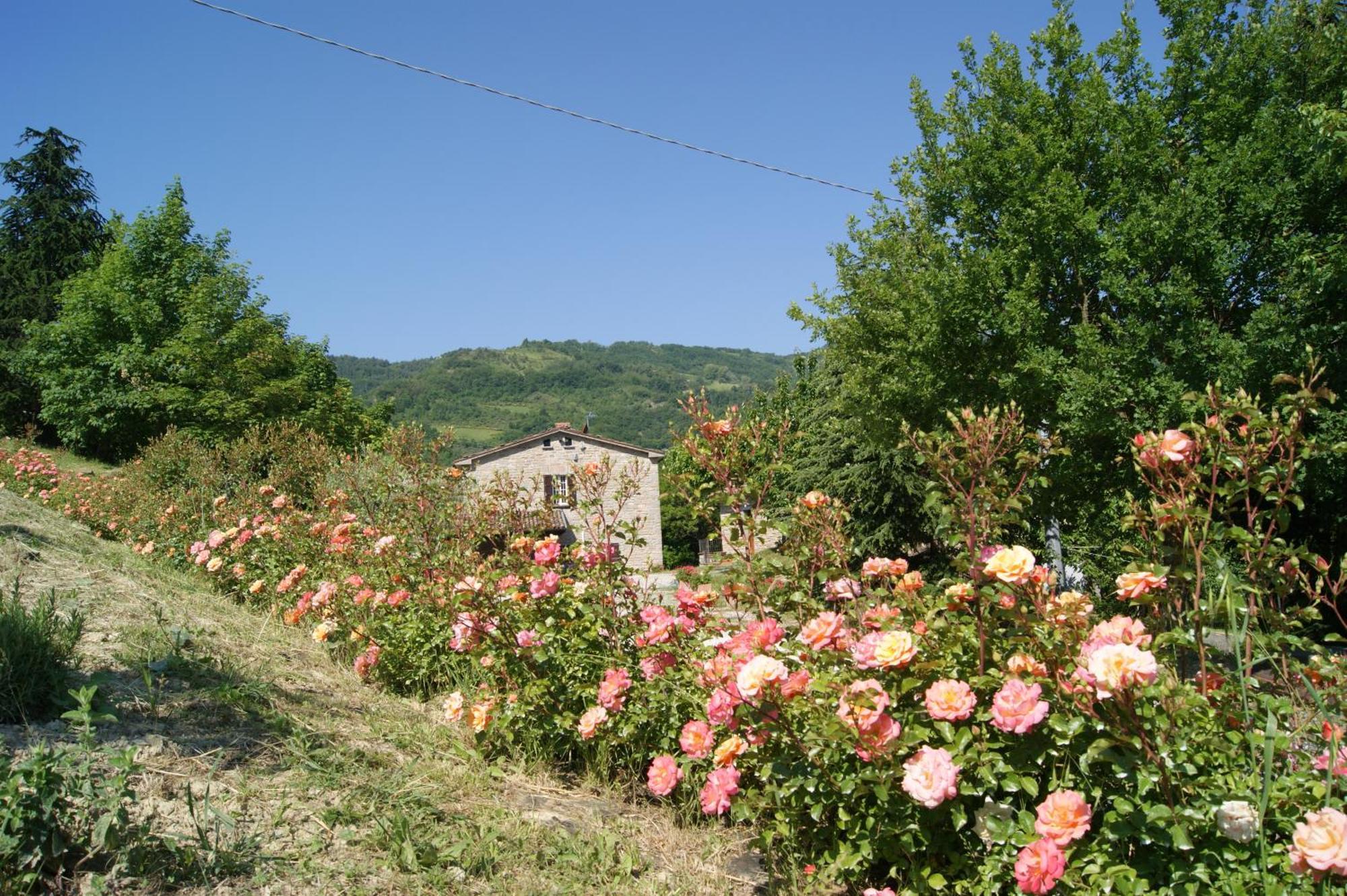 Agriturismo Corte Dei Mori Brisighella Bagian luar foto